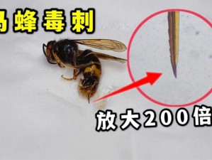 阿瑞斯病毒马蜂实战攻略：蓄力击杀技巧揭秘 更快更高效战胜马蜂指南