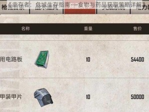 《幸存者：危城生存指南——食物与药品获取策略详解》