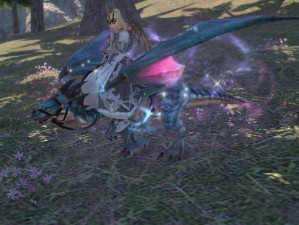 FF14仙子玲龙坐骑获取攻略：详解仙子玲龙获取方法与步骤