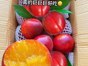 爆汁脆甜的×7×7×7×7 水蜜桃，每一口都让你陶醉