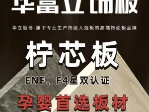 办工作室能不能干湿你？环保工作室，品质之选