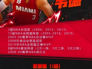 NBA梦之队橙卡韦德全面解析：技能属性详解及表现评价