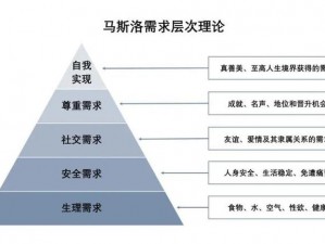 24 种 B 型标真图——满足您所有需求的优质商品