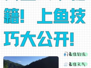 动物森友会钓鱼高手养成秘籍：掌握钓鱼技巧，轻松成为钓鱼达人