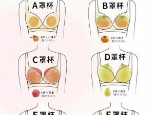 我没戴乳罩被同桌 c 了一节课动画：带来不一样的视觉体验