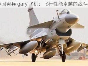 中国男兵 gary 飞机：飞行性能卓越的战斗机