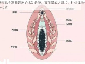 玩弄乳尖高潮喷出奶水乱动漫：高质量成人影片，让你体验极致快感