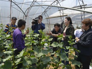 女人和公豬交内谢家养繁殖基地直供