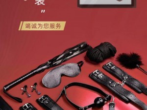 成人 h 小游戏：情趣玩具，增添闺房之乐