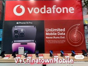 中国 vodafonepayandgo 卡——畅享英国通讯自由