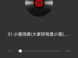 我叫小莫，今夜很寂寞歌词，高品质无损音质，带给你极致听觉享受