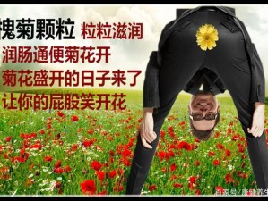 狂暴后菊小屁股视频：全新升级，带给你前所未有的视觉体验