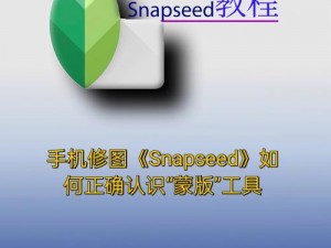 Snapseed蒙版功能位置探索与操作指南：打造专属修图效果利器