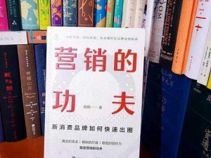 帝王国快速寻找主帅攻略：策略与技巧全解析