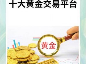 十大黄金网站软件入口免费，畅享无限精彩