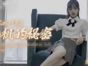 麻豆精品秘国产传媒 MV 男同系列，演绎精彩男同剧情，满足你的视觉需求