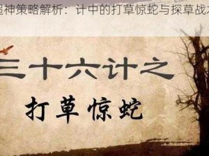 全民超神策略解析：计中的打草惊蛇与探草战术深度剖析