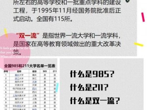 《中国式高考攻略：揭秘如何取得高考高分》