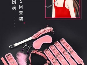 成人用品店热卖的免费无码婬片 A 片 AA 片道具