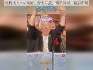 红桃成人 mv 高清，专业拍摄，画质清晰，精彩不断