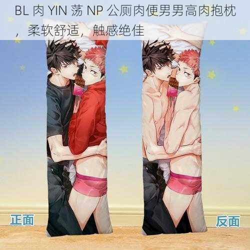 BL 肉 YIN 荡 NP 公厕肉便男男高肉抱枕，柔软舒适，触感绝佳