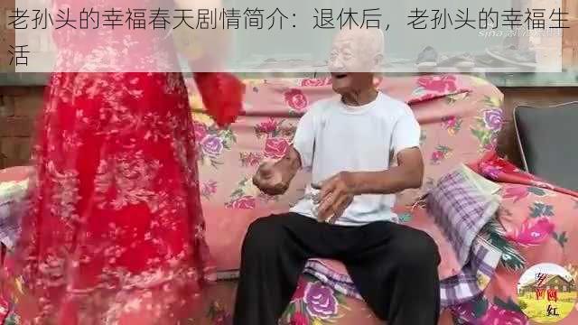 老孙头的幸福春天剧情简介：退休后，老孙头的幸福生活