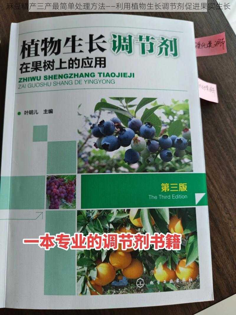 麻豆精产三产最简单处理方法——利用植物生长调节剂促进果实生长