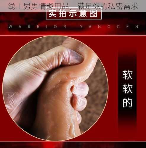 线上男男情趣用品，满足你的私密需求