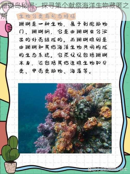 珊瑚岛秘闻：探寻第个献祭海洋生物藏匿之所