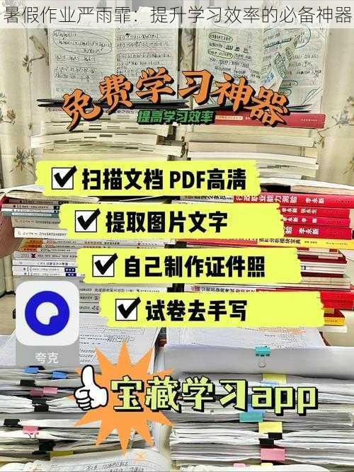 暑假作业严雨霏：提升学习效率的必备神器