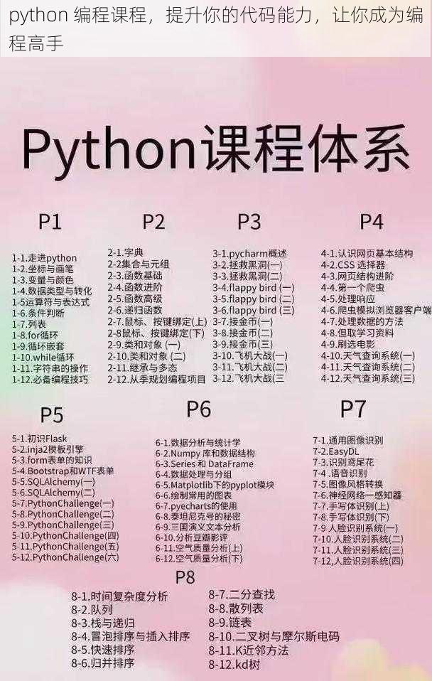 python 编程课程，提升你的代码能力，让你成为编程高手