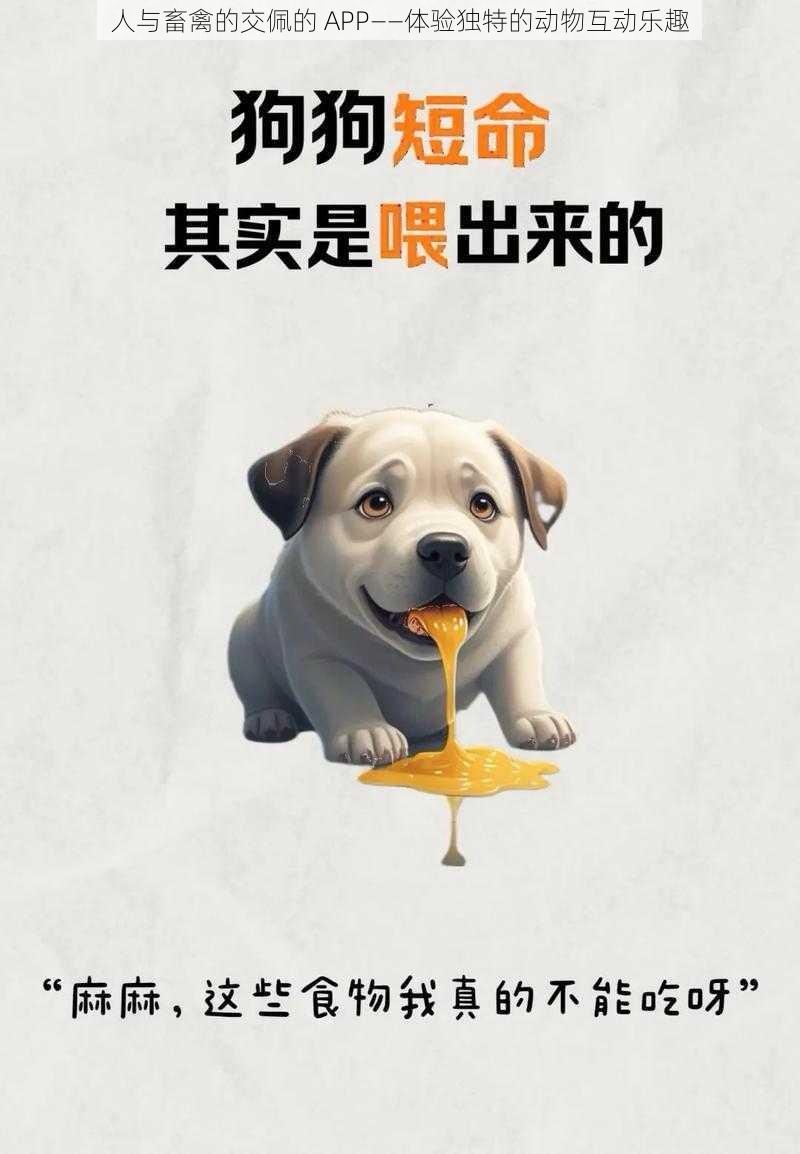 人与畜禽的交佩的 APP——体验独特的动物互动乐趣