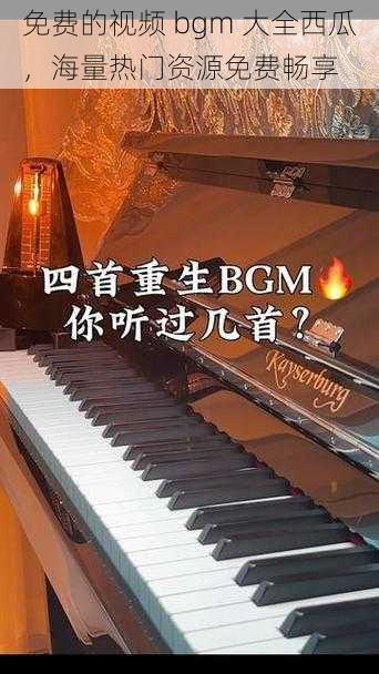 免费的视频 bgm 大全西瓜，海量热门资源免费畅享