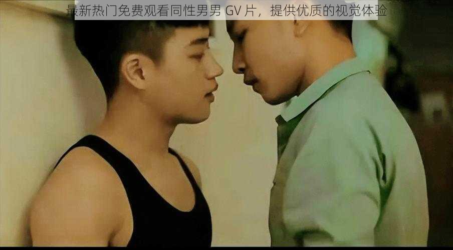 最新热门免费观看同性男男 GV 片，提供优质的视觉体验