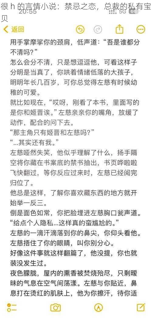 很 h 的言情小说：禁忌之恋，总裁的私有宝贝