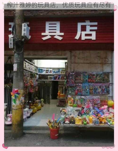 榨汁雅婷的玩具店，优质玩具应有尽有