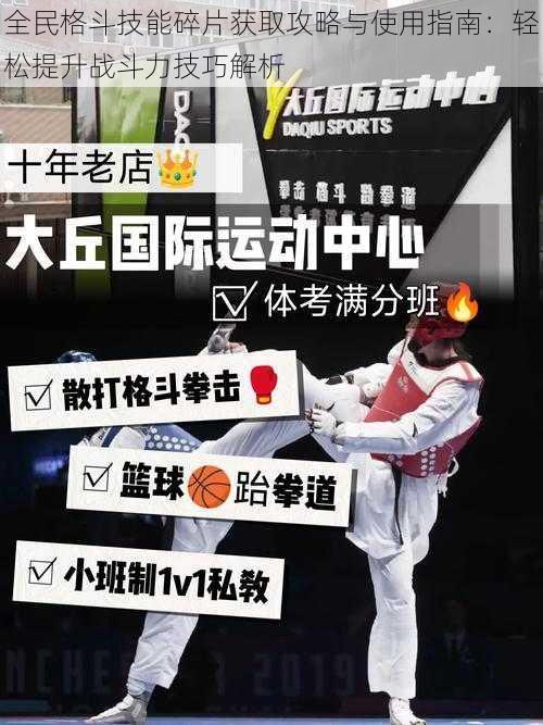 全民格斗技能碎片获取攻略与使用指南：轻松提升战斗力技巧解析