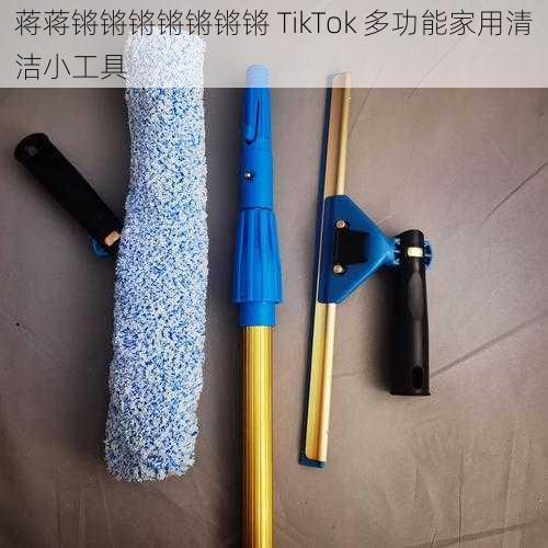 蒋蒋锵锵锵锵锵锵锵 TikTok 多功能家用清洁小工具