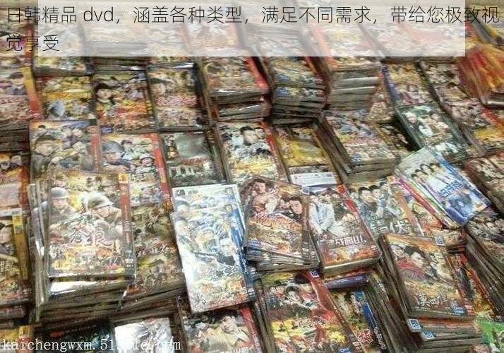 日韩精品 dvd，涵盖各种类型，满足不同需求，带给您极致视觉享受