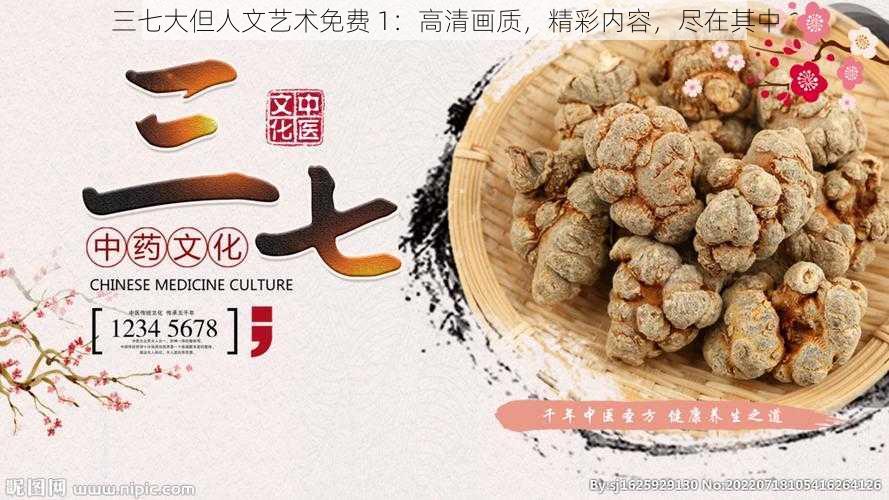 三七大但人文艺术免费 1：高清画质，精彩内容，尽在其中