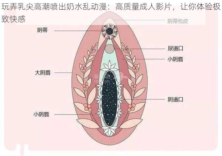 玩弄乳尖高潮喷出奶水乱动漫：高质量成人影片，让你体验极致快感