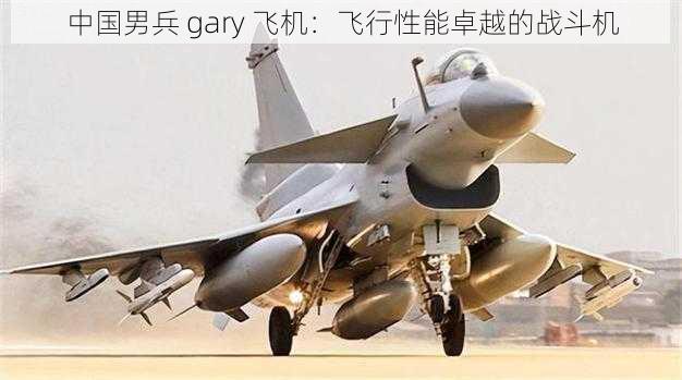 中国男兵 gary 飞机：飞行性能卓越的战斗机