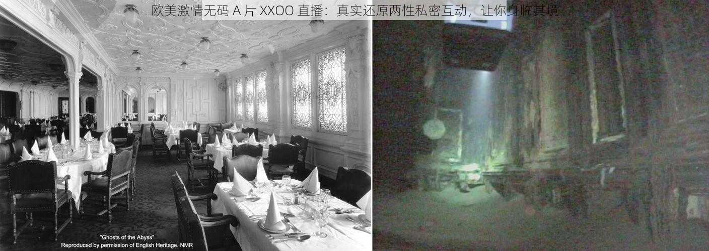 欧美激情无码 A 片 XXOO 直播：真实还原两性私密互动，让你身临其境