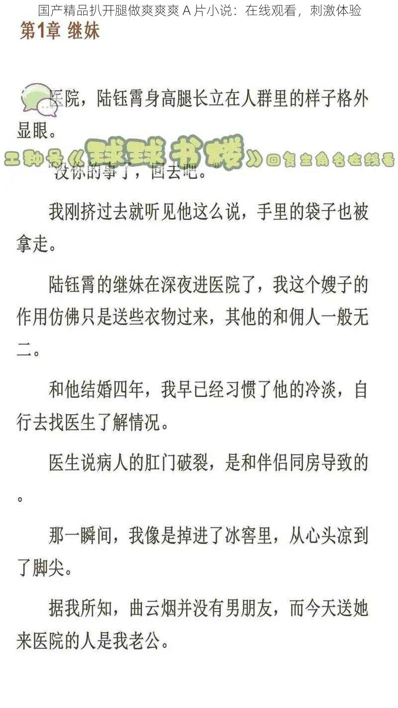 国产精品扒开腿做爽爽爽 A 片小说：在线观看，刺激体验