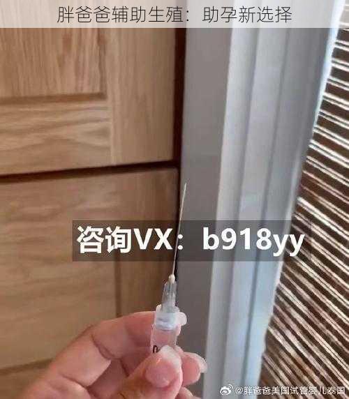 胖爸爸辅助生殖：助孕新选择