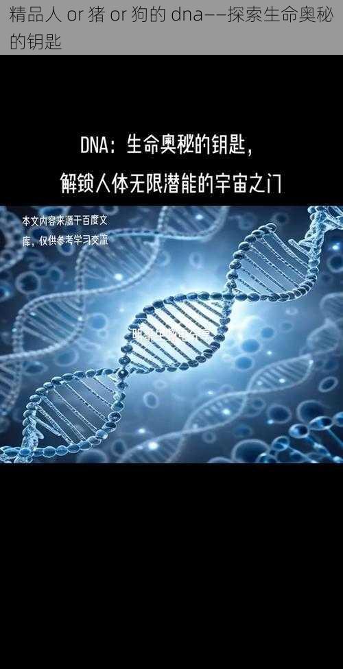 精品人 or 猪 or 狗的 dna——探索生命奥秘的钥匙