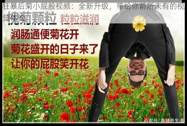 狂暴后菊小屁股视频：全新升级，带给你前所未有的视觉体验