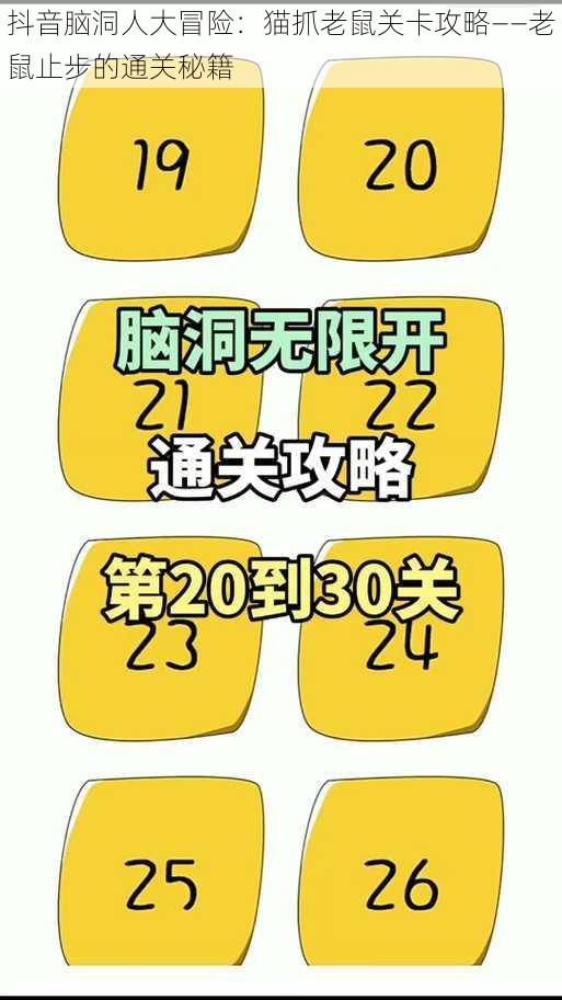 抖音脑洞人大冒险：猫抓老鼠关卡攻略——老鼠止步的通关秘籍