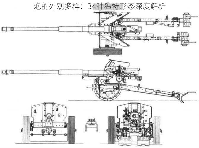 炮的外观多样：34种独特形态深度解析