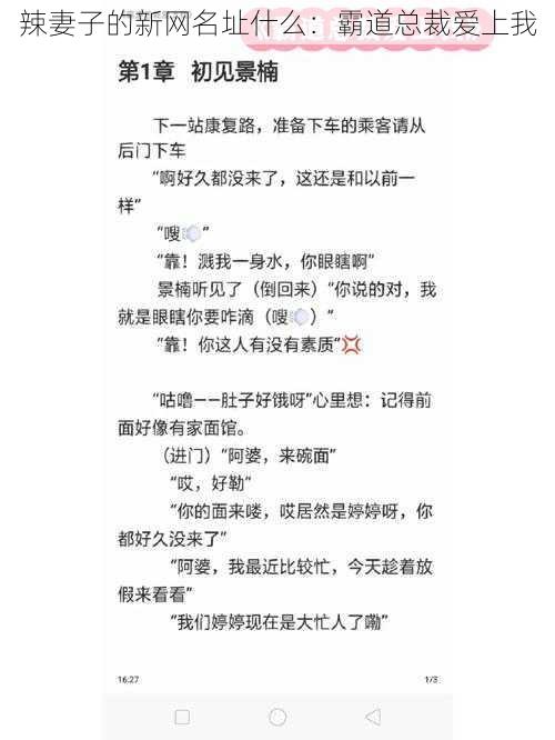 辣妻子的新网名址什么：霸道总裁爱上我